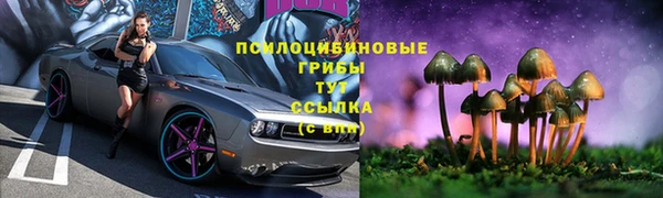 a pvp Абинск