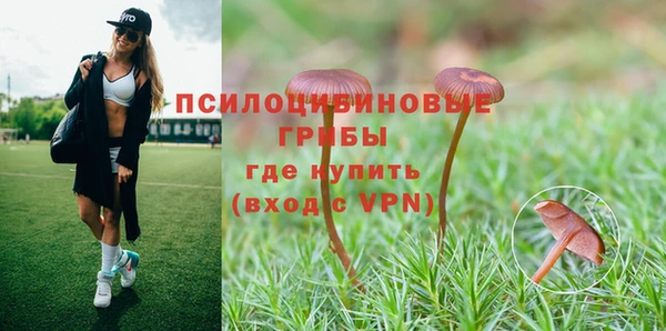 твердый Абдулино